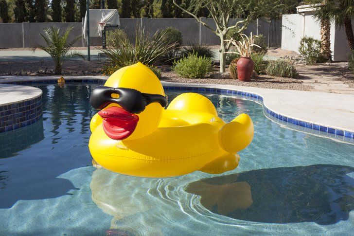 Pool Floats Family Image